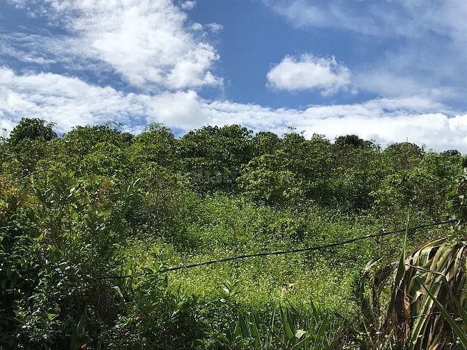 Bán đất sát nách Samten Hills Dalat