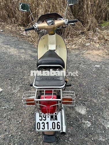 xe cub cup 50/84 zin 100%