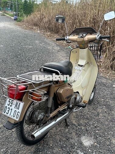 xe cub cup 50/84 zin 100%