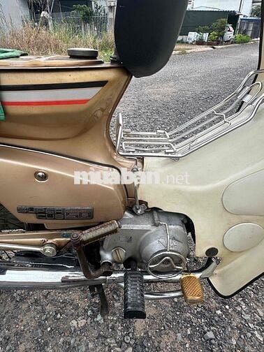 xe cub cup 50/84 zin 100%