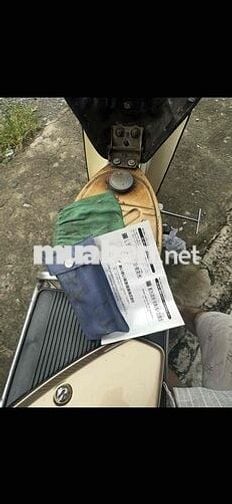 xe cub cup 50/84 zin 100%