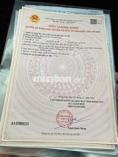 Áp lực lãi ngân hàng cần thanh lý gấp