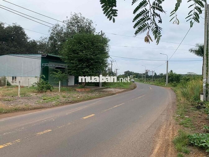 Áp lực lãi ngân hàng cần thanh lý gấp