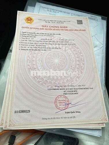 Áp lực lãi ngân hàng cần thanh lý gấp