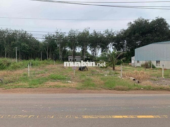 Áp lực lãi ngân hàng cần thanh lý gấp