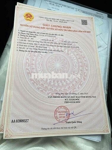 Áp lực lãi ngân hàng cần thanh lý gấp