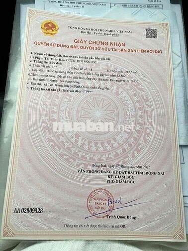 Áp lực lãi ngân hàng cần thanh lý gấp