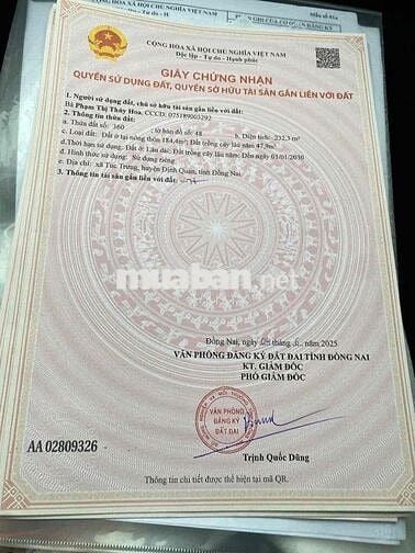 Áp lực lãi ngân hàng cần thanh lý gấp