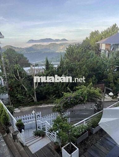 Chủ bể hụi bán đất biệt thự view thông mặt tiền P9 Đà Lạt giá ngộp