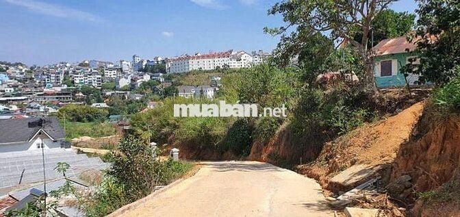 BÁN GẤP 455m2 ĐẤT ĐẤT VIEW TẶNG NHÀ GỖ ĐỐNG ĐA P3  ĐÀ LẠT 15 TỶ