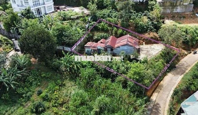 BÁN GẤP 455m2 ĐẤT ĐẤT VIEW TẶNG NHÀ GỖ ĐỐNG ĐA P3  ĐÀ LẠT 15 TỶ