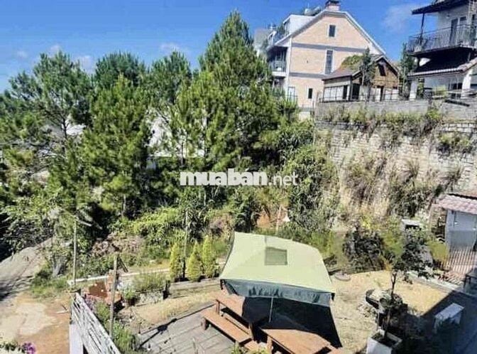 Chủ bể hụi bán đất biệt thự view thông mặt tiền P9 Đà Lạt giá ngộp