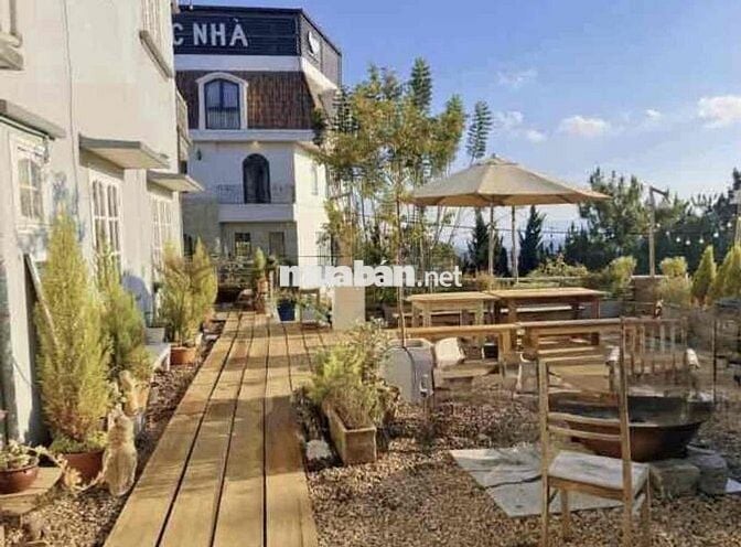 Chủ bể hụi bán đất biệt thự view thông mặt tiền P9 Đà Lạt giá ngộp