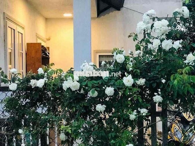 Bán lỗ nhà tâm huyết 235m2 có sân vườn, giá rẻ,