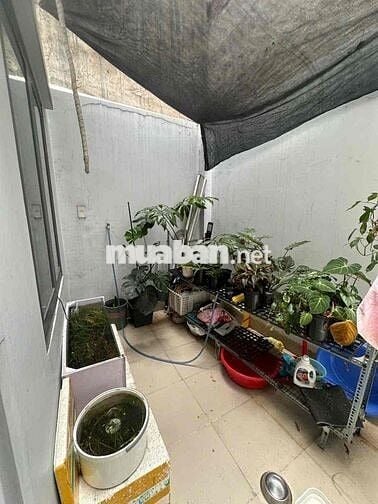 Nhà hẻm thông đg LĐT P16: 3.5x23m ,3 lầu, 4pn, Cho CHDV