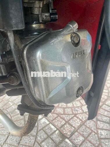 si fi zin dep vĩnh long