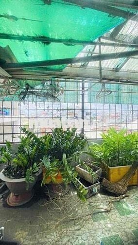 Nhà mặt tiền đẹp tiện kinh doanh (3,4m x 17m) Thủ Khoa Huân Tân bình