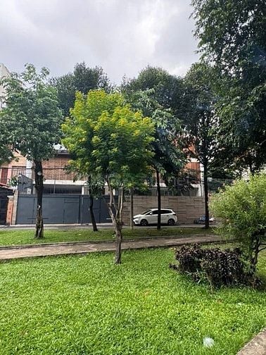 Bán Siêu Biệt Thự Đường Nguyễn Đình Khơi, P4, Tân Bình, Giá 230tr/m2