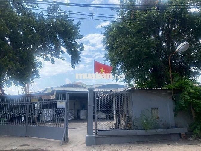 CHO THUÊ KHO XƯỞNG QUẬN BINH TÂN .DT . 8600M