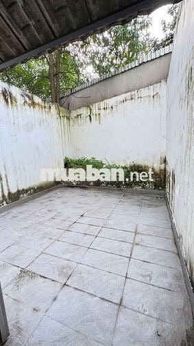 4x28m 4PN 5WC💥Sân để xe hơi vô nhà thuê💥Sân thượng Quang Trung