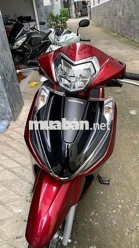 Lead mẫu mới 2025