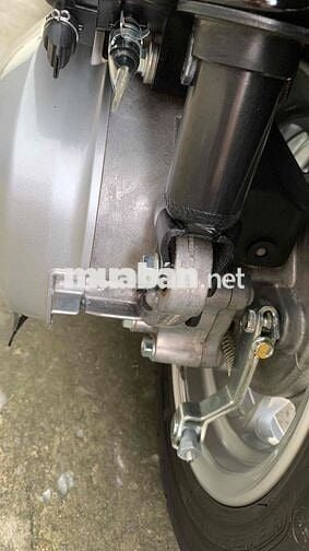 Lead mẫu mới 2025