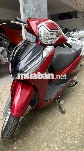 Lead mẫu mới 2025