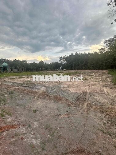 8 nền trung tâm phường Chơn Thành giá rẻ