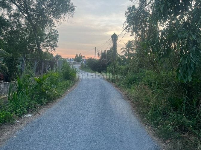 Bán nhà vườn cây ăn trái DT 4006m2, 4PN 2WC giá 22 tỷ