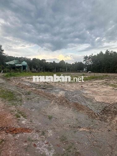 8 nền trung tâm phường Chơn Thành giá rẻ