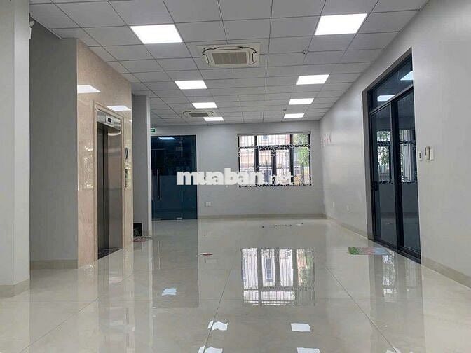 Cho thuê tòa nhà building khu Him Lam