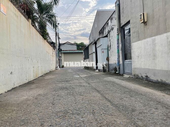 Đất thổ cư hẻm xe tải Mỹ Hòa, Tân Xuân, 8.1 x 17m, 5.5 tỷ