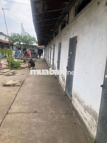 bán 290 đất full thổ cư toàn bộ bình trị đông B , Ngay KCN Tân Tạo .