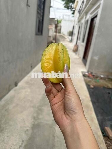 Mảnh đất Hiiếm Cầu Diễn – ô tô đỗ – Nhú 4 tỷ