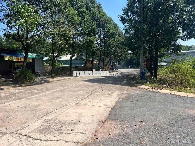 Đất Và Nhà Xưởng Cần Bán Để Về Quê Chống Bão