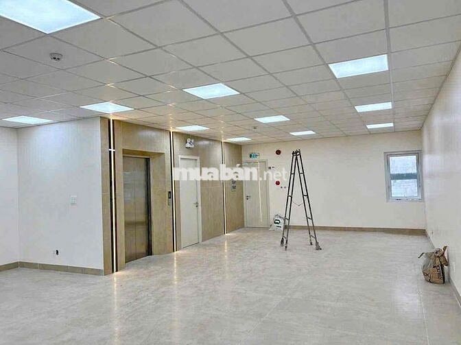 CHO THUÊ TOÀ NHÀ 8X18M  MĂT TIỀN ĐƯỜNG SỐ 15 P.TÂN QUY Q7