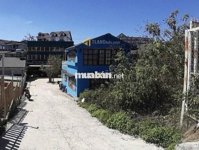 Bán gấp 300m2 Đất thổ Cư Xây Villa Khách Sạn P5 Đà Lạt 9,5 Tỷ