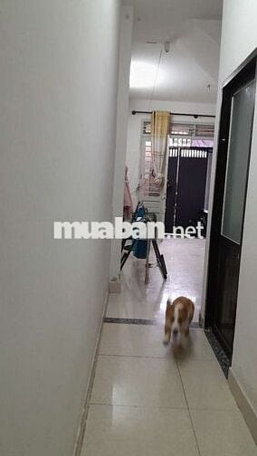 9Tr, 4PN, HXH ngay Cầu Ông Dầu, Chợ Bình Triệu 120m2