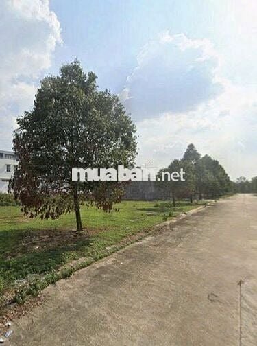 🔥 CẦN TIỀN XOAY VỐN – ĐẤT TRUNG TÂM BẾN CÁT – GIÁ CỰC RẺ 🔥