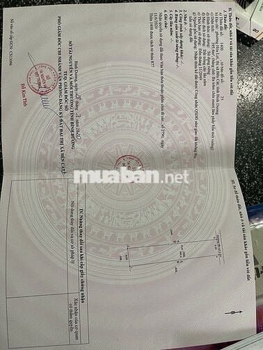 Kế chợ Nhật Huy 9*46m, thổ cư, sổ sẵn - 1 tỷ 750 triệu