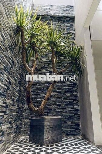 NHÀ 3 TẦNG KIỆT ĐỖ NHỰA OTO ĐẬU ĐỖ LÊ THANH NGHỊ