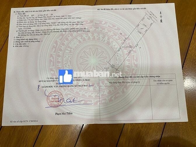 Cần bán đất tại xã Thạnh Phú - Cà Mau