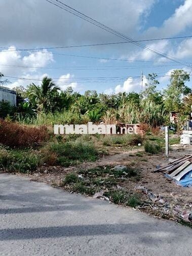 Cần bán đất tại xã Thạnh Phú - Cà Mau