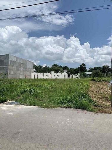 Đất thổ cư 125m² Cần Đước – Sổ riêng, ngay khu dân cư, giá tốt!