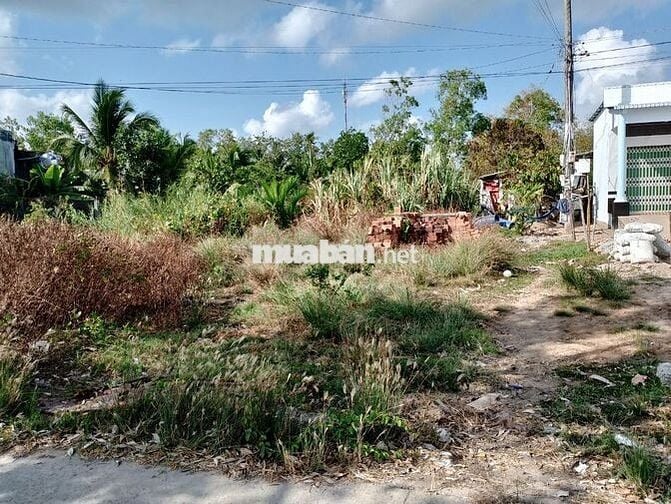 Cần bán đất tại xã Thạnh Phú - Cà Mau