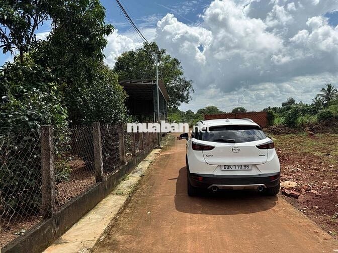 Bán gấp lô đất 135m2 sổ riêng,ngay núi Chứa Chan,Xuân Lộc,Đồng Nai