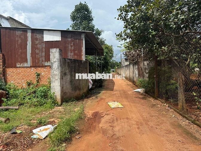 Bán gấp lô đất 135m2 sổ riêng,ngay núi Chứa Chan,Xuân Lộc,Đồng Nai