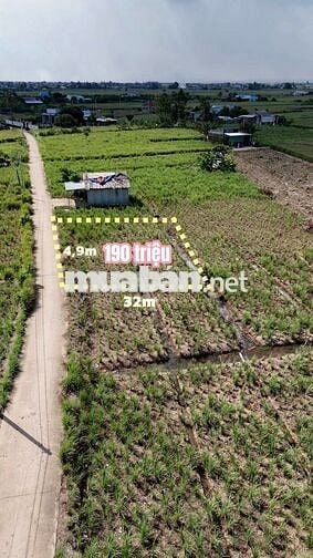 🌟• DT : 150m². Giá :190 triệu tại cù lao Tân Phú Đông, Tiền Giang