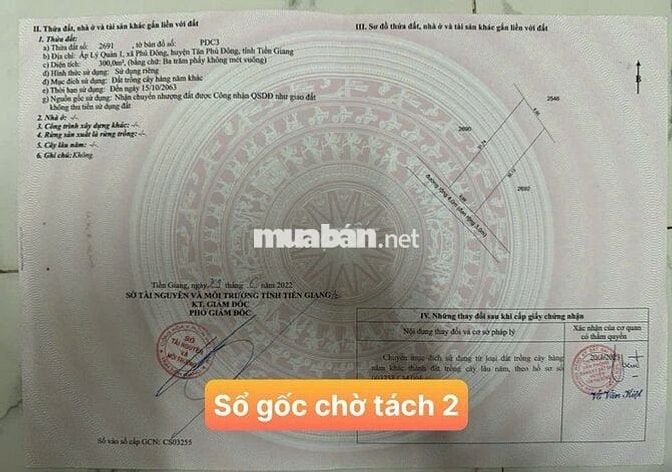 🌟• DT : 150m². Giá :190 triệu tại cù lao Tân Phú Đông, Tiền Giang