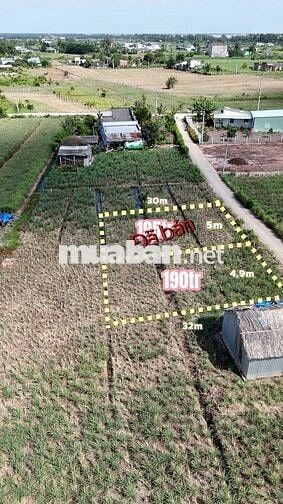 🌟• DT : 150m². Giá :190 triệu tại cù lao Tân Phú Đông, Tiền Giang